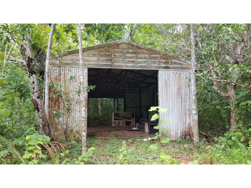 37 Cape Trib Road, Daintree QLD 4873