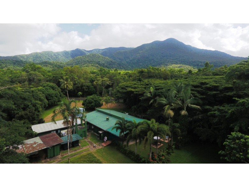 1882 Cape Tribulation Road, Daintree QLD 4873