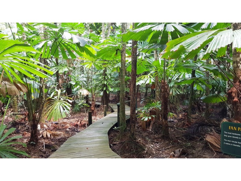 1882 Cape Tribulation Road, Daintree QLD 4873