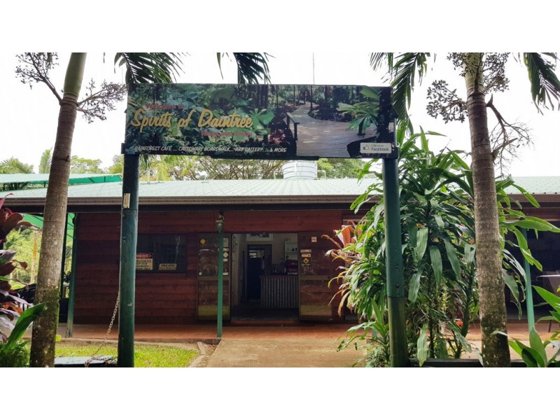 1882 Cape Tribulation Road, Daintree QLD 4873