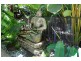 Villa 1, 31-39 Murphy Street (Latitude 16), Port Douglas QLD 4877