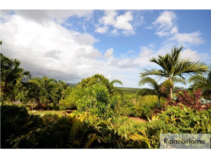 5 Dagmar Close (Lower Daintree), Wonga Beach QLD 4873