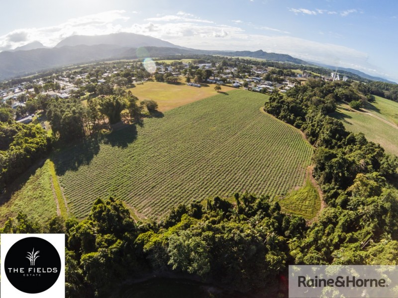 ‘The Fields’ Crawford Street, Mossman QLD 4873