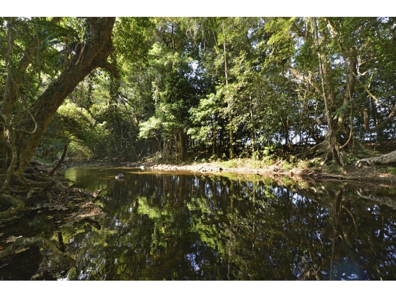 142 OLD FORESTRY ROAD, Whyanbeel QLD 4873