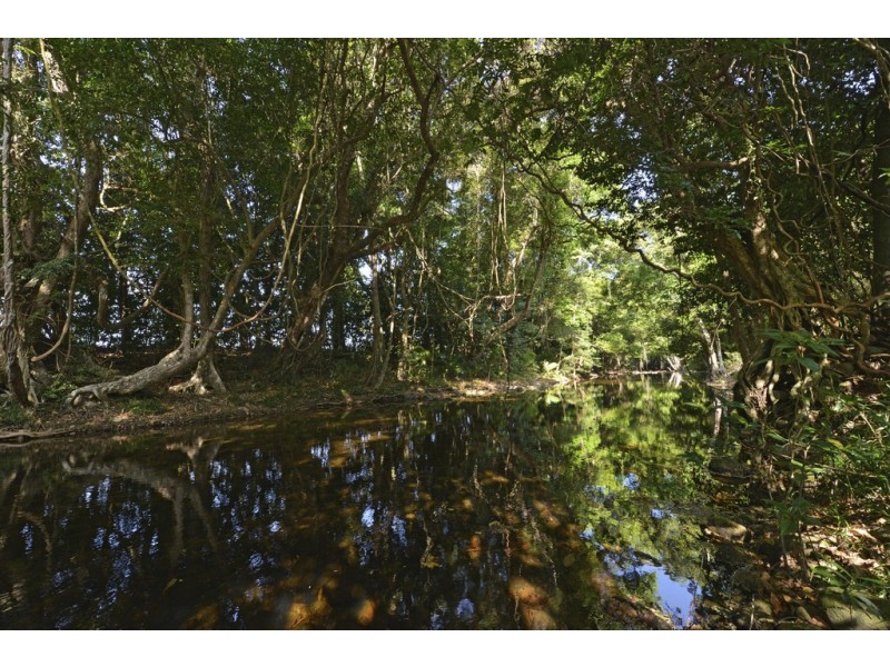 142 OLD FORESTRY ROAD, Whyanbeel QLD 4873