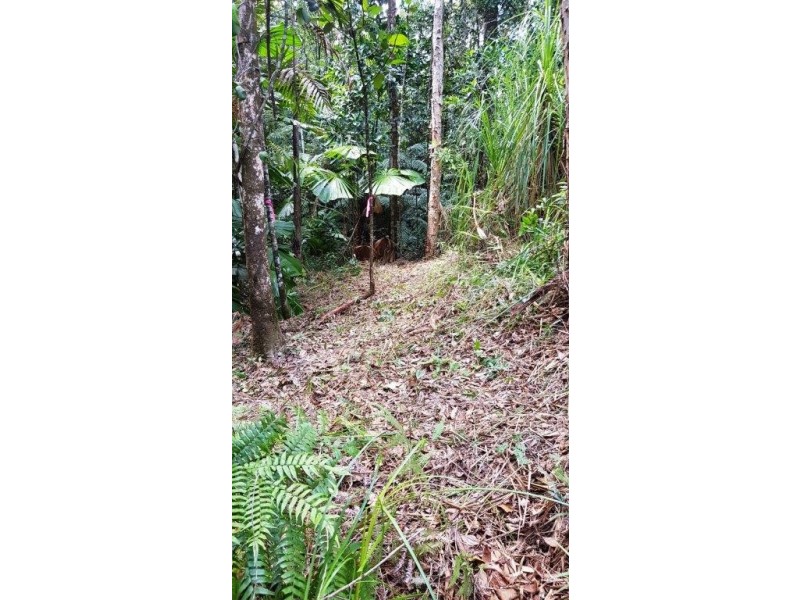 Lot 1 Thornton Peak Drive, Daintree QLD 4873