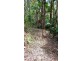 Lot 1 Thornton Peak Drive, Daintree QLD 4873