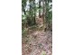 Lot 1 Thornton Peak Drive, Daintree QLD 4873
