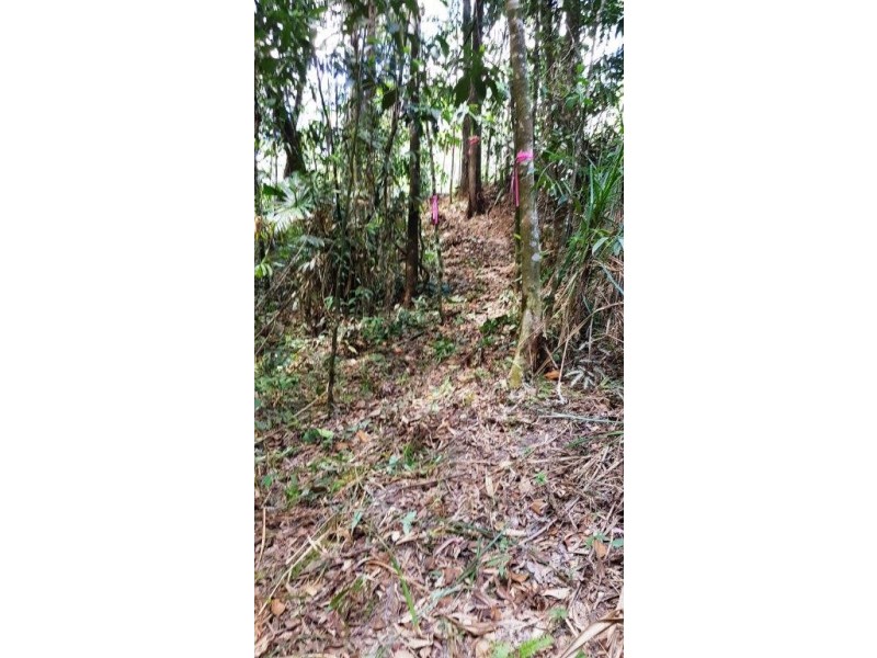 Lot 1 Thornton Peak Drive, Daintree QLD 4873