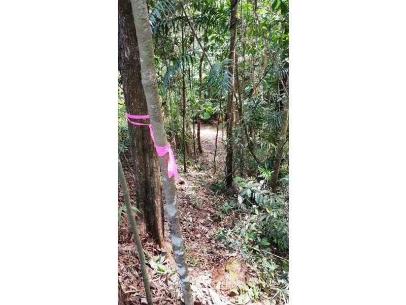 Lot 1 Thornton Peak Drive, Daintree QLD 4873