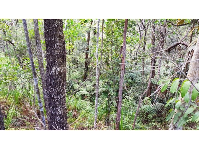 Lot 1 Thornton Peak Drive, Daintree QLD 4873