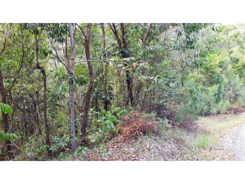 Lot 1 Thornton Peak Drive, Daintree QLD 4873
