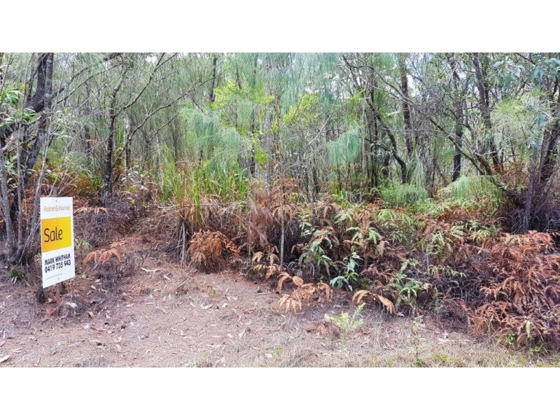 Lot 1 Thornton Peak Drive, Daintree QLD 4873