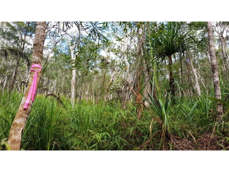 Lot 1 Thornton Peak Drive, Daintree QLD 4873