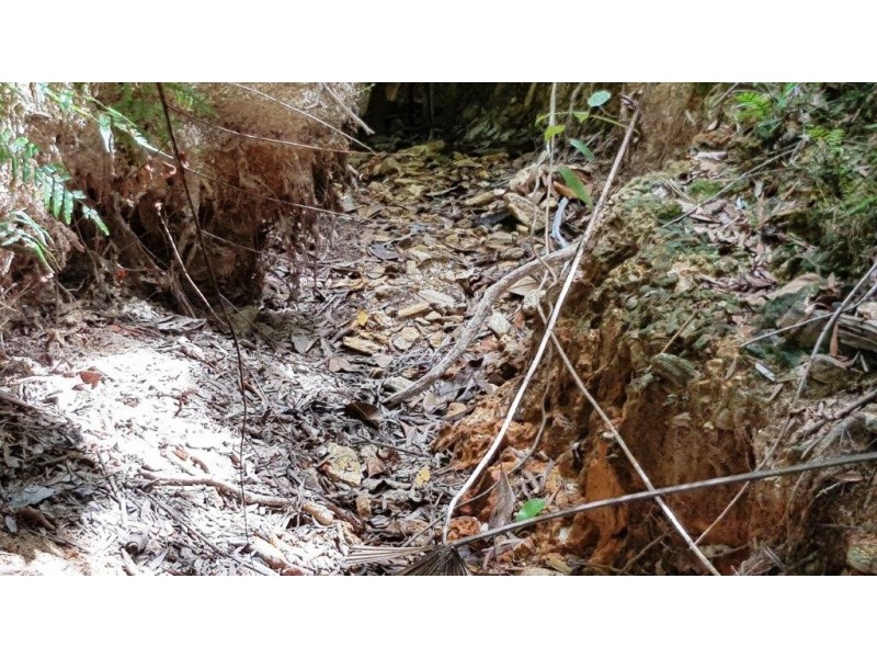 Lot 1 Thornton Peak Drive, Daintree QLD 4873