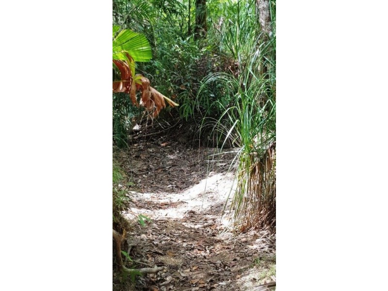 Lot 1 Thornton Peak Drive, Daintree QLD 4873