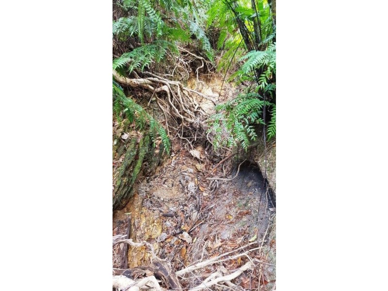 Lot 1 Thornton Peak Drive, Daintree QLD 4873