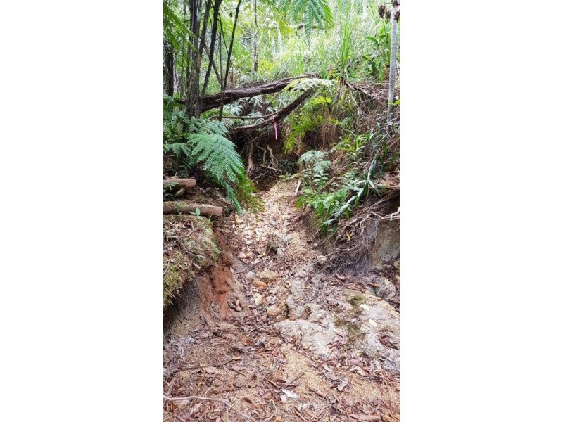 Lot 1 Thornton Peak Drive, Daintree QLD 4873