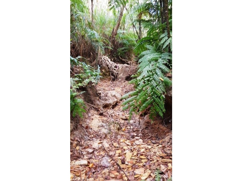 Lot 1 Thornton Peak Drive, Daintree QLD 4873