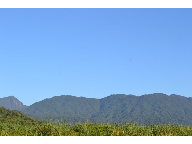24 JULAJI CLOSE, Cooya Beach QLD 4873