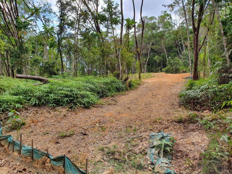6 Andrew Road Forest Ck, Daintree QLD 4873