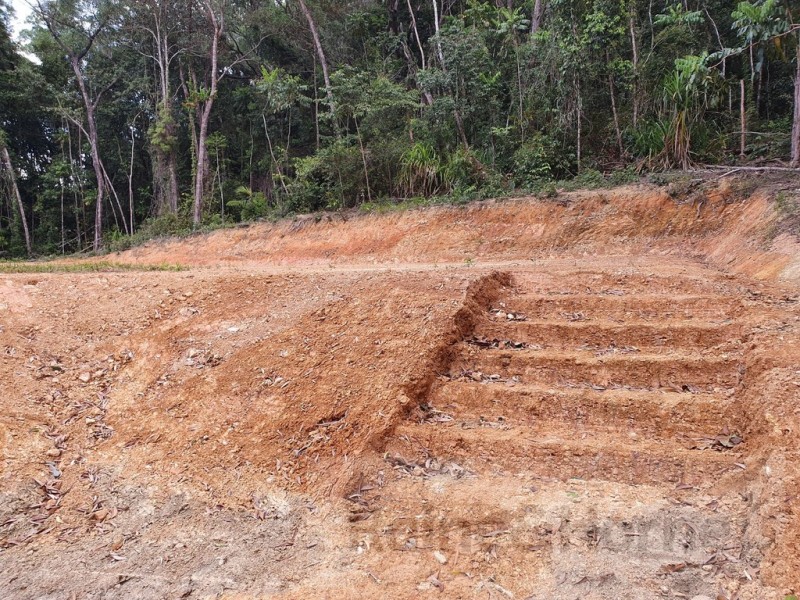 6 Andrew Road Forest Ck, Daintree QLD 4873