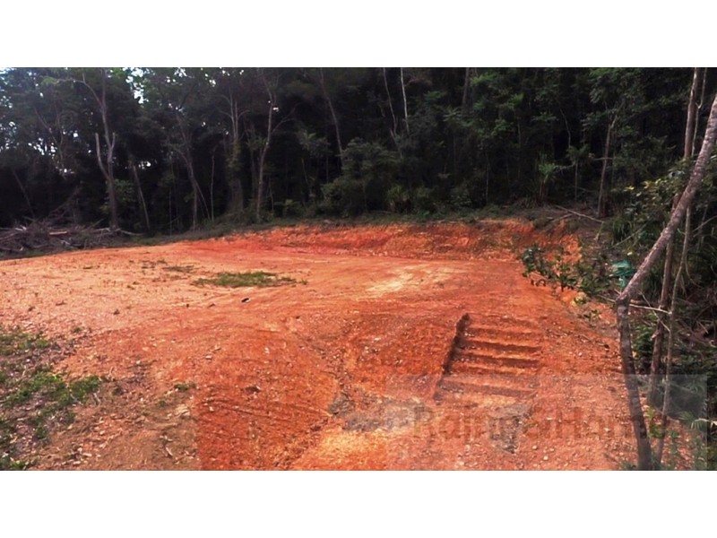 6 Andrew Road Forest Ck, Daintree QLD 4873