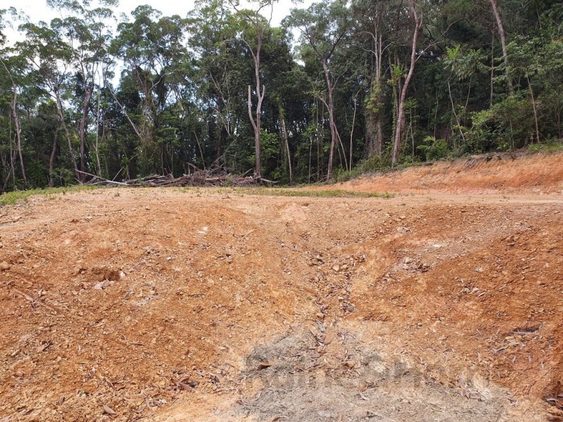 6 Andrew Road Forest Ck, Daintree QLD 4873