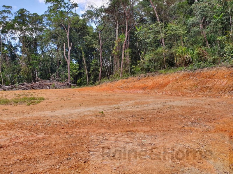 6 Andrew Road Forest Ck, Daintree QLD 4873