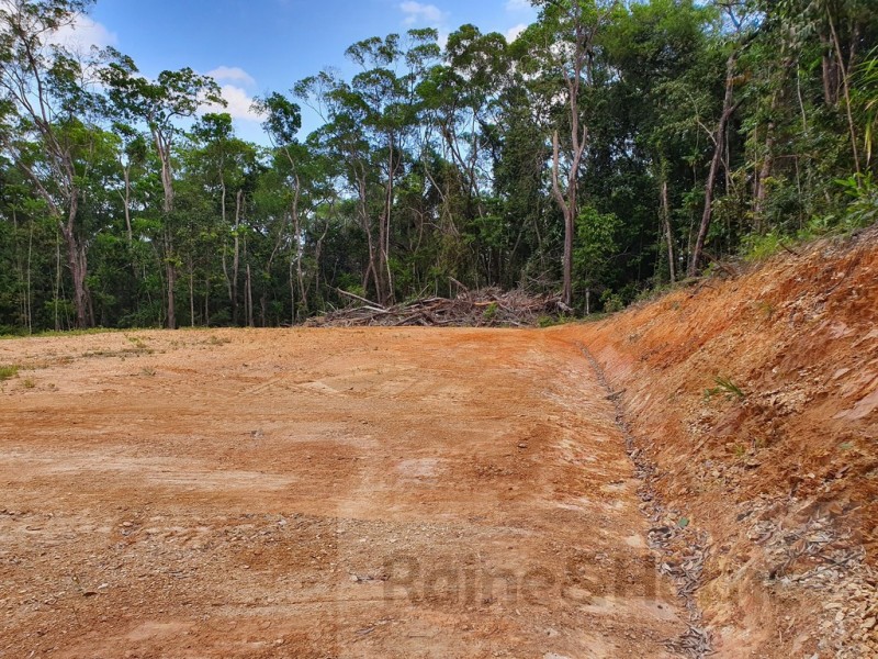 6 Andrew Road Forest Ck, Daintree QLD 4873