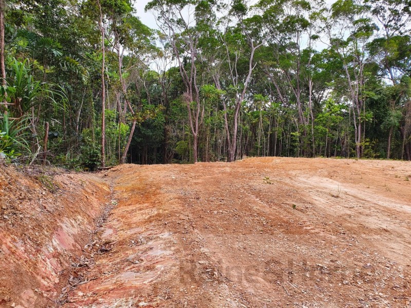 6 Andrew Road Forest Ck, Daintree QLD 4873