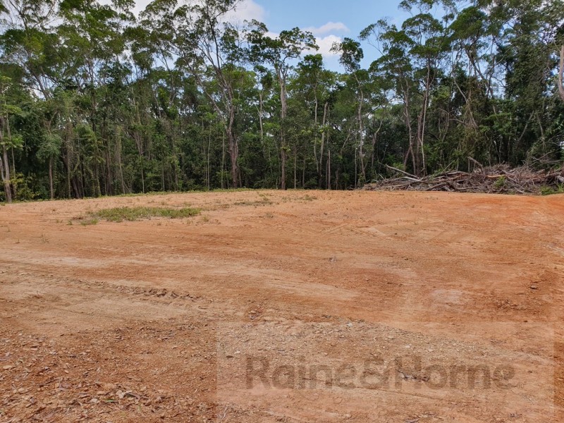 6 Andrew Road Forest Ck, Daintree QLD 4873
