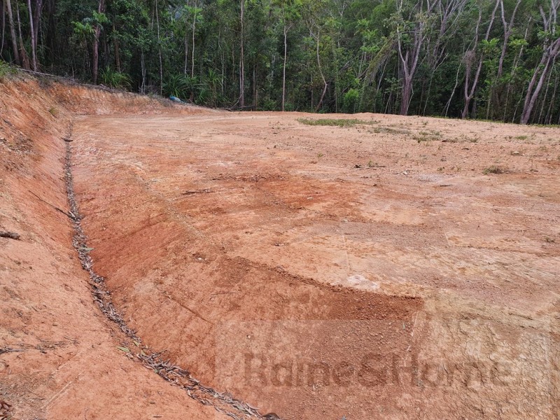 6 Andrew Road Forest Ck, Daintree QLD 4873