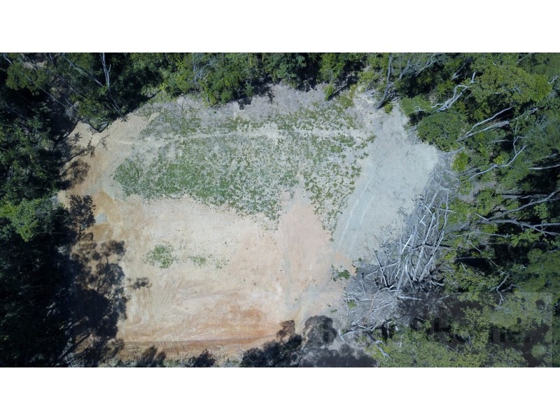 6 Andrew Road Forest Ck, Daintree QLD 4873