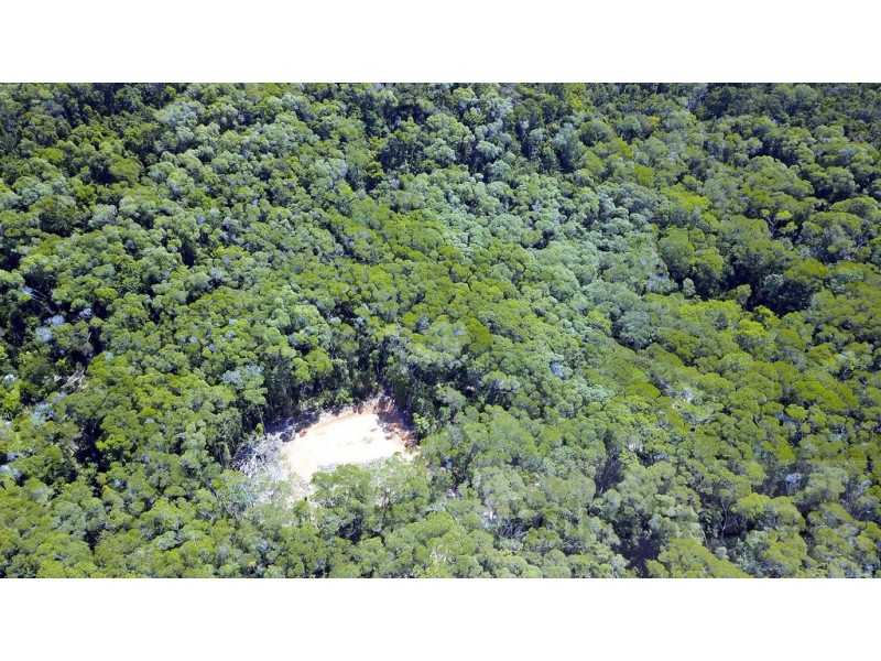 6 Andrew Road Forest Ck, Daintree QLD 4873