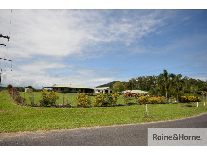10 WHITELEY ROAD, Miallo QLD 4873