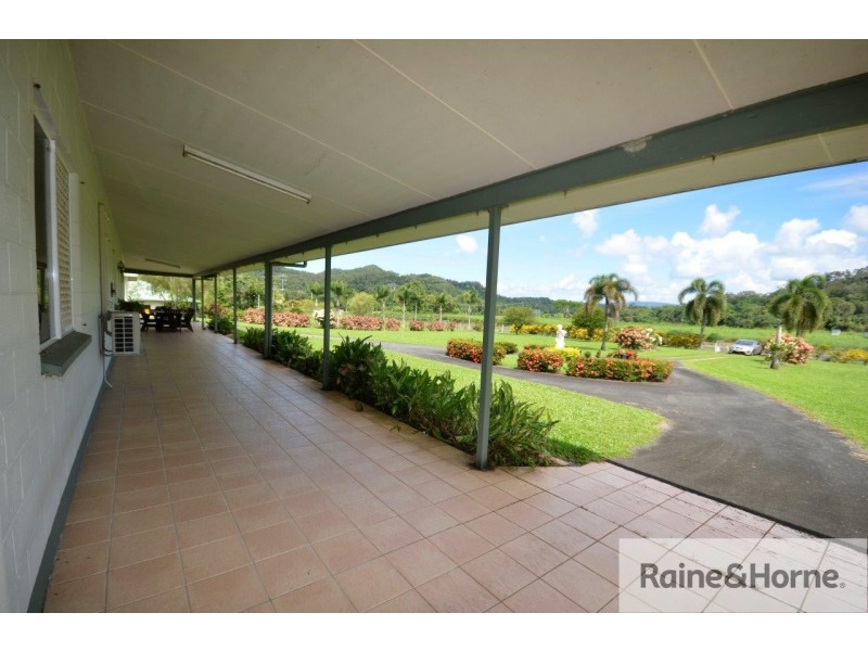 10 WHITELEY ROAD, Miallo QLD 4873