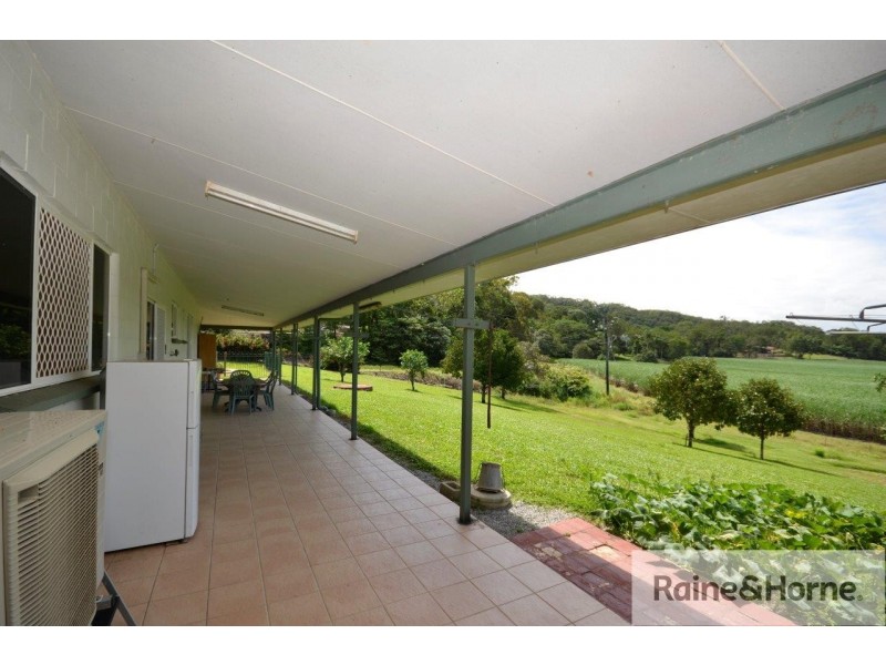 10 WHITELEY ROAD, Miallo QLD 4873