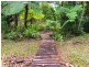 302 Ironbark Road, Daintree QLD 4873