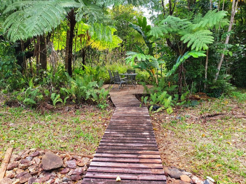 302 Ironbark Road, Daintree QLD 4873