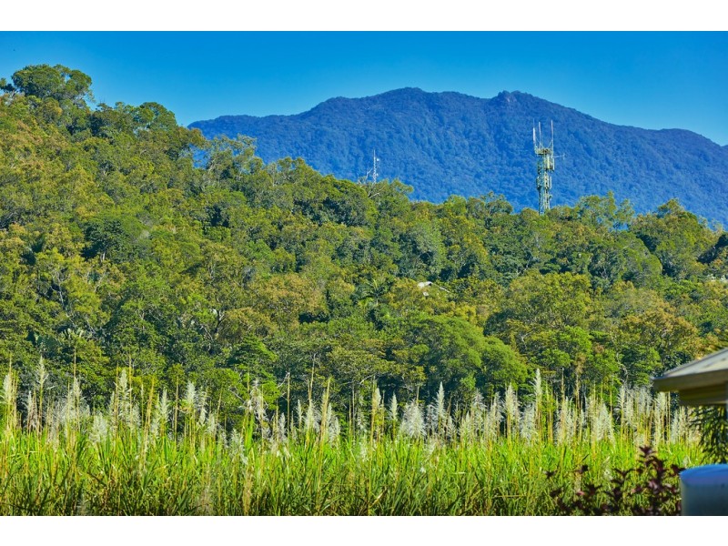 21 WHITE OAK AVENUE, Mossman QLD 4873