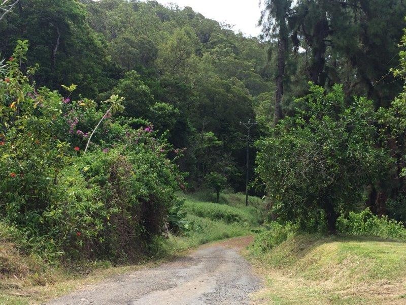 93 Santarossa Road, Bonnie Doon QLD 4873