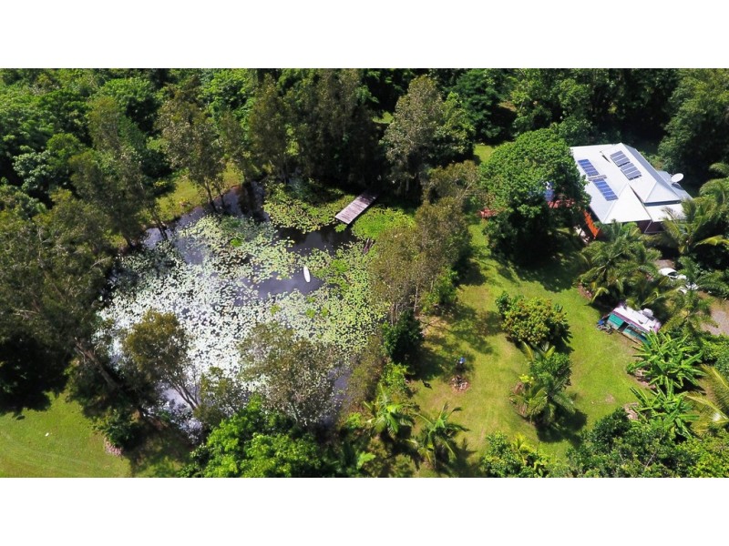 840 Cape Trib Road Kimberley, Daintree QLD 4873