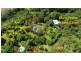 840 Cape Trib Road Kimberley, Daintree QLD 4873