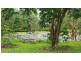 840 Cape Trib Road Kimberley, Daintree QLD 4873