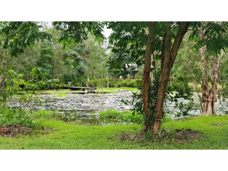 840 Cape Trib Road Kimberley, Daintree QLD 4873