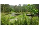 840 Cape Trib Road Kimberley, Daintree QLD 4873