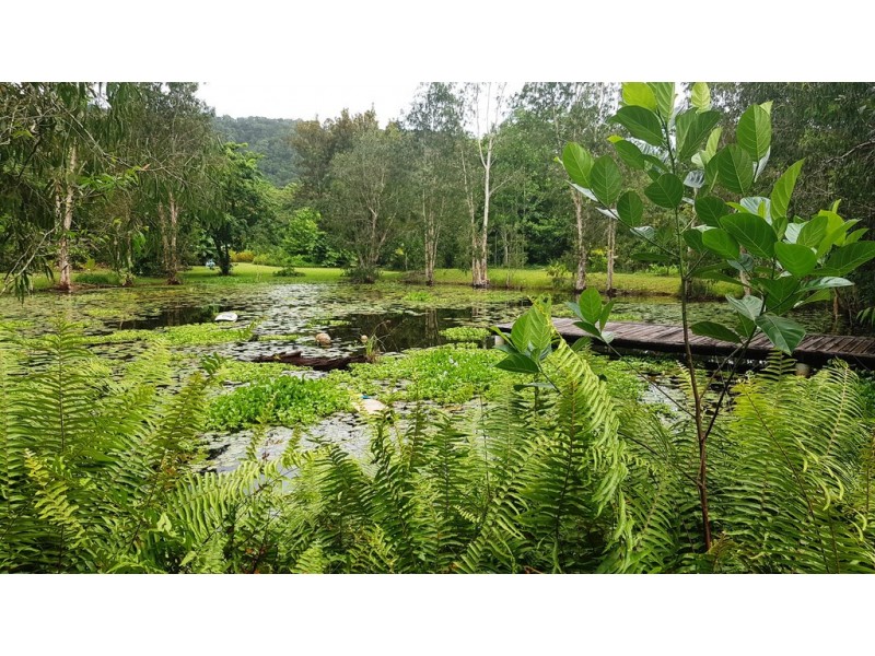 840 Cape Trib Road Kimberley, Daintree QLD 4873