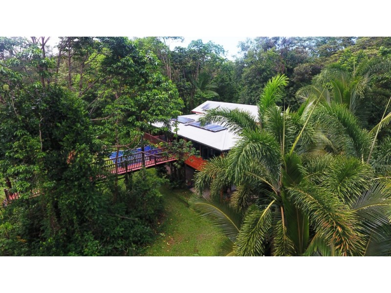 840 Cape Trib Road Kimberley, Daintree QLD 4873