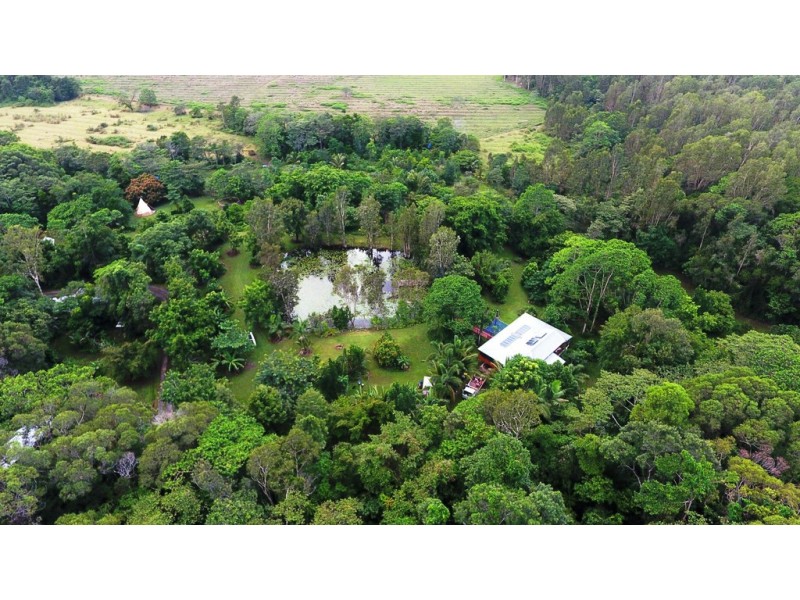840 Cape Trib Road Kimberley, Daintree QLD 4873